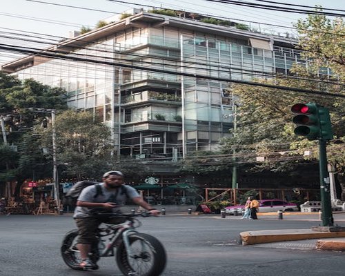 Urban cyclist waiting at a traffic light in CDMX